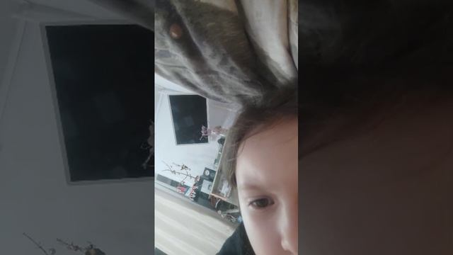 встаю на руки? ДА!