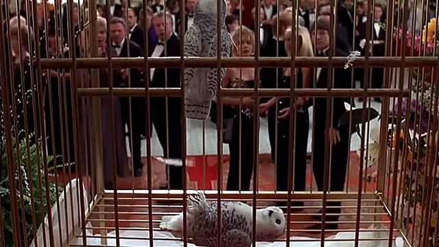 Шурик и тройка