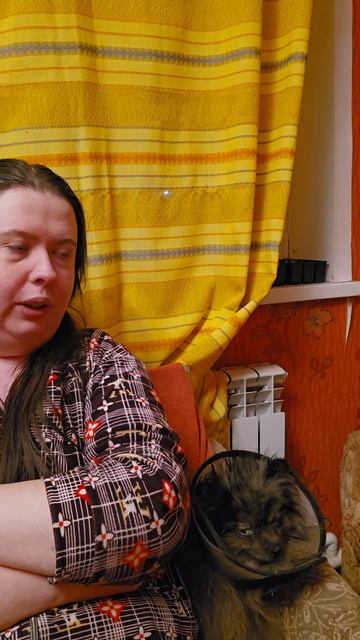 Рассада на подоконнике. лайфстайл животные собаки шпиц