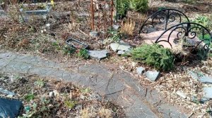 Такой сухой погоды я ещё не наблюдала. Поливаем землю. Что в теплице?