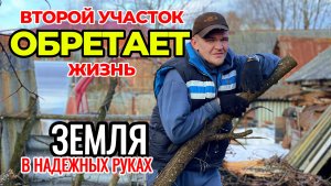 Преображение заброшенного участка. Пилим деревья, убираем мусор. Простая жизнь в деревне.
