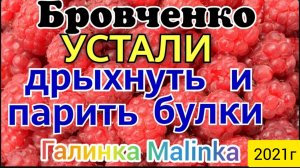 Семья Бровченко _Устали дрыхнуть до обеда и парить булки _Обзор Влогов _