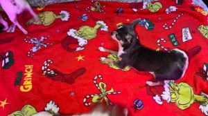 Доброго и бодрого всем утречка!