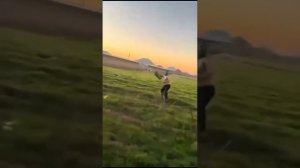 Видео от МЭН - Мне Это Нравится