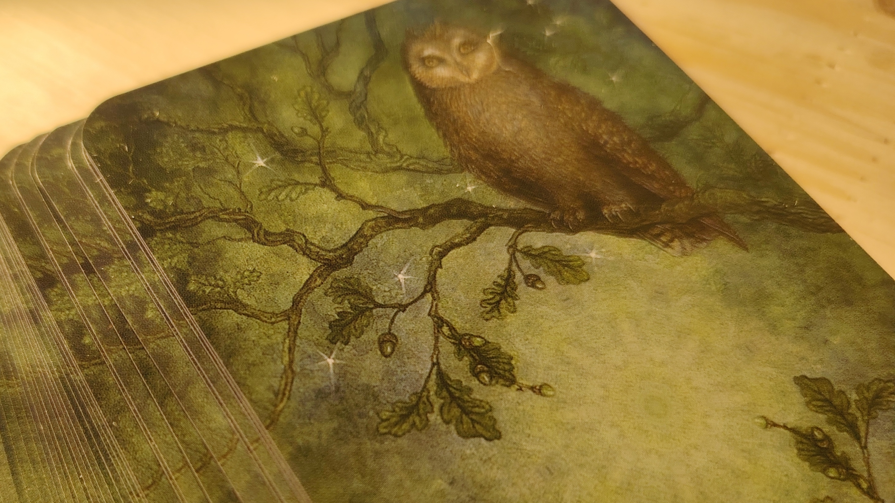 15-04-2026 🌠🌠🌠