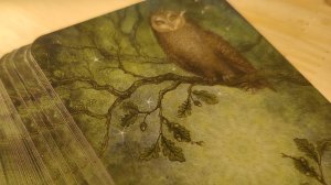 15-04-2026 🌠🌠🌠