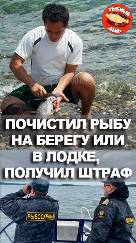 Почистил рыбу на берегу или в лодке получил штраф