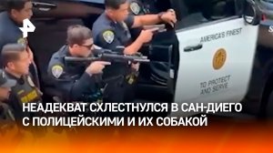 Устроил поножовщину и избил собаку копов: преступника эффектно задержали в Сан-Диего