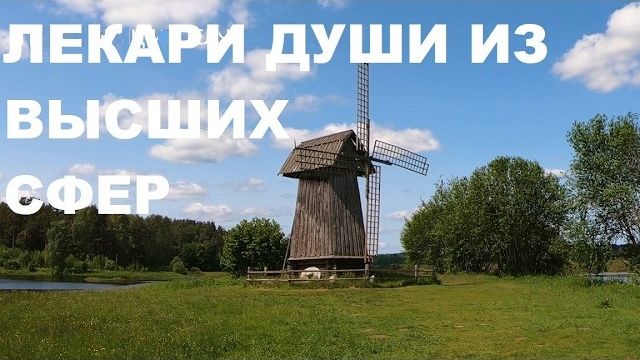 ЦЕЛЕБНЫЕ ЗВУКИ ПЕНИЯ ПТИЦ УБЕРУТ ПЛОХОЕ НАСТРОЕНИЕ. ИСЦЕЛЕНИЕ НЕРВНОЙ СИСТЕМЫ!!!