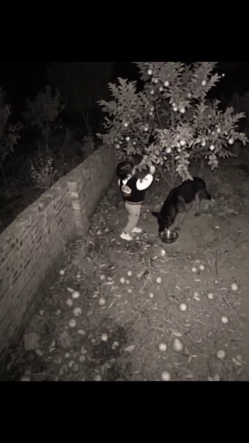 Ты это...заходи есть что 🙃