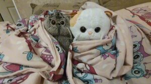 БАСИКУ И ЛИЛИ В САДИК?/утренний влог