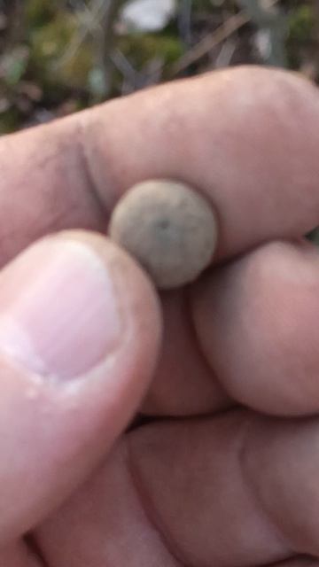 Нашли в кустах старую вещицу #shorts #metaldetecting #леснойкоп #старыенаходки #finds