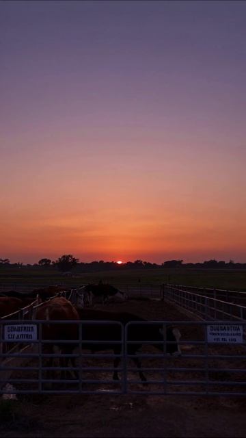 Закат надежд: ожидание конца грустно пейзаж сельскаяжизнь