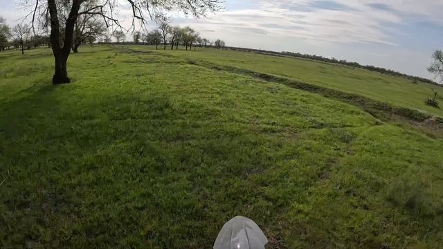 погоня за тремя зайцами