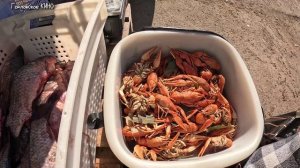 Цена на свежую рыбу в Горловке...2026 год