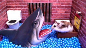 🦈 Лучшие побеги Хомяка - Трилогия. Испуг от внезапного появления акулы