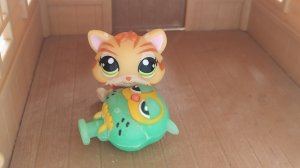Littlest Pet Shop: Совместный проект с моей сестрой Настей: Брат По Сердцу, Брат По Душе 1 серия