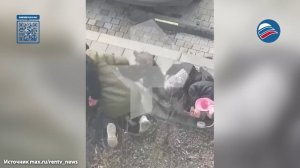 Бойцовский пёс без намордника едва не загрыз собаку на прогулке в Ленобласти