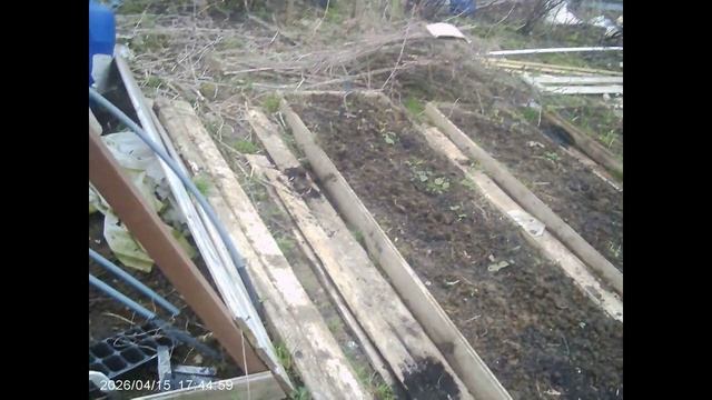 Подготовка к посадке и удаление сорняков с развитой корневой системой хотя всего середина апреля.