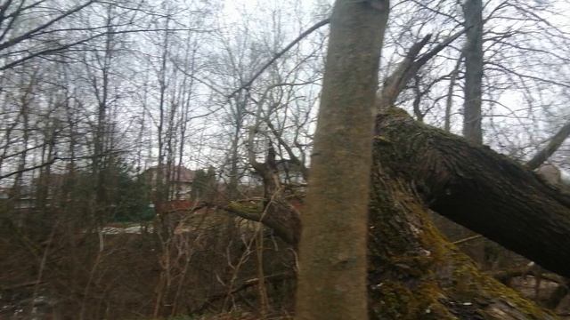 15.04.2026.Ляховский край.Уно-Моменто!25/7/365. Губернаторский. Ляхово TиVи. Усадьба Парк Кинематогр