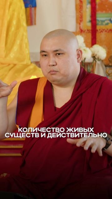 Живые существа по своей ценности равны буддам?