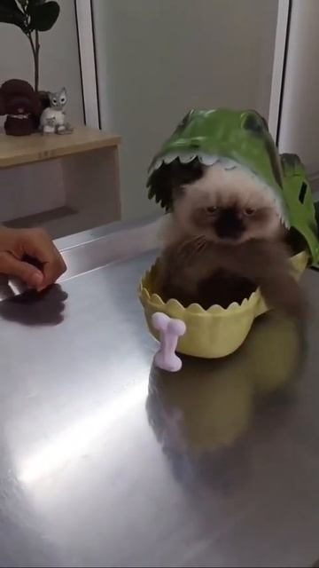 Котенок и динозавр