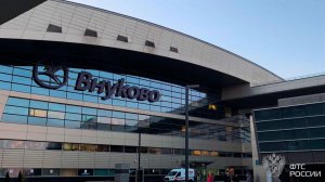 Во Внуково задержали пытавшегося провезти 12 рогов и черепов оленя.