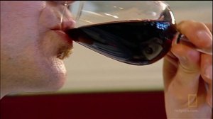 Запреты 5 сезон 8 серия (документальный сериал, 2008)