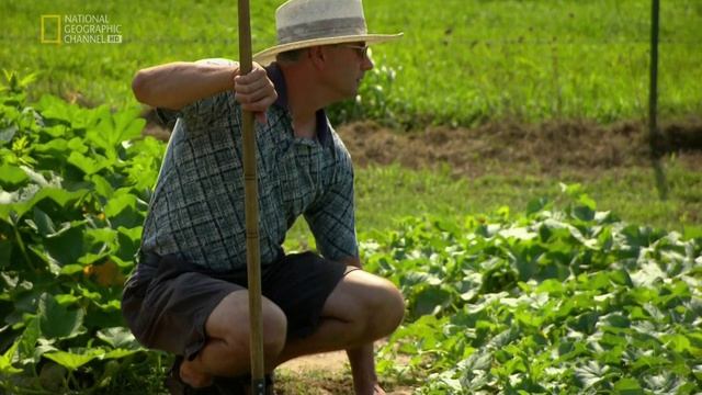 Запреты 8 сезон 3 серия (документальный сериал, 2012)