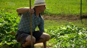 Запреты 8 сезон 6 серия (документальный сериал, 2012)