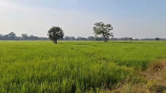 139 Миллионеры - они и в Африке миллионеры