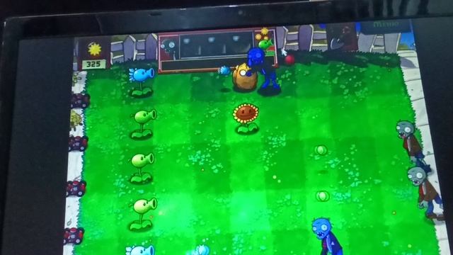 пвз первая первый раз на компе.mp4