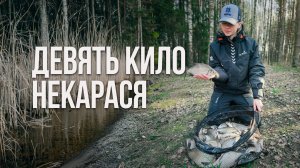Ехали за карасем, а клевали .... Рыблака с фидером на Зельвенском водохранилище весной_1_1