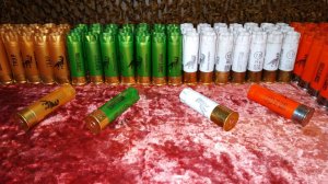 Однострельные гильзы от Евгения.