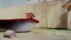 Том и Джерри. Золотая коллекция 29 серия