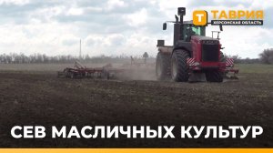 Херсонские аграрии приступили к севу масличных культур