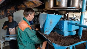 Россия может удвоить экспорт торфа