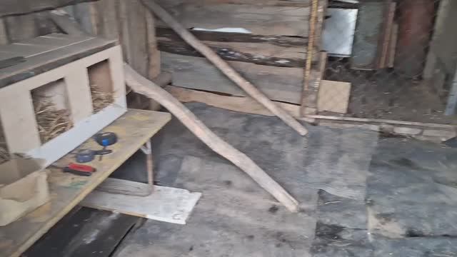 Делаем домик для кур.Разбираем залежи столетней давности.