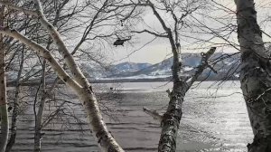 На Камчатке экипаж МИ-8 МЧС России провёл тренировку в преддверии пожароопасного сезона