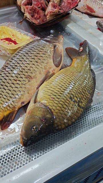 Танец рыбы раскрывает секрет вкусных рецептов