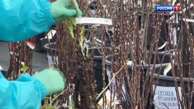 ГТРК Самара 15.04.26