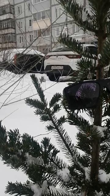 Мы с другам