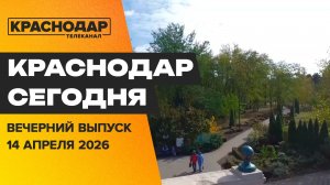 Запуск энергоблока ТЭЦ, марафон чистоты Краснодара, музей хлеба и вина. Новости 14 апреля