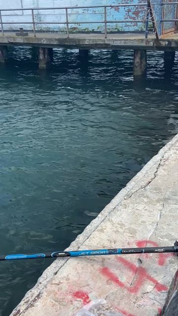 Море-Керчь-рыбалочка 15 апреля 2026