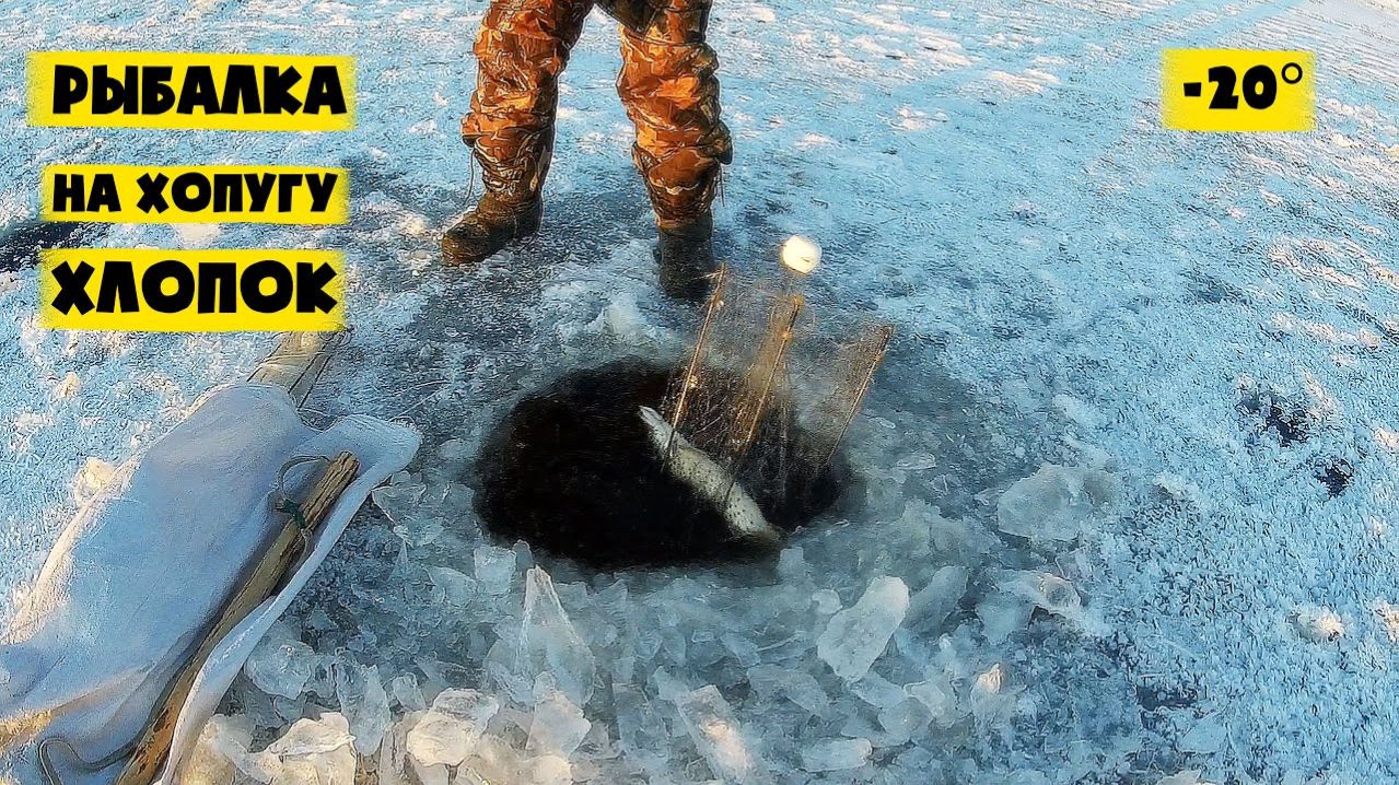 Нереально Крутая Рыбалка на Хапугу. Просто Куча Рыбы. Окунь, Щука, Карп, Карась. Русская Рыбалка