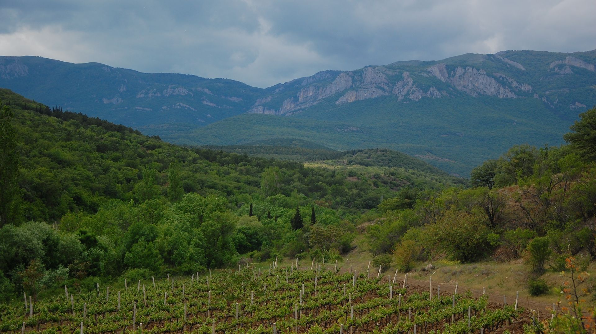 Александр Глазунов - Theme and Variations, Op.72 - Var.4 - Poco piu mosso