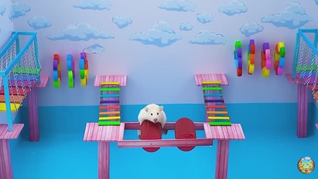 Хомячок сбегает из опасного огненного лабиринта! часть 1