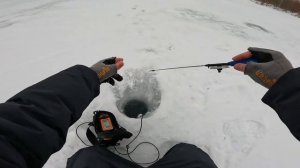 Под лунками кишит рыба! Ловлю её на безмотылку! Зимняя рыбалка со льда на мормышку.
