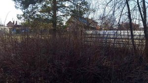 влог чем я занимаюсь ,и прогуляемся по огороду