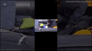 Косатка в деле! Косатка против пингвинов, акулы, тюленя...